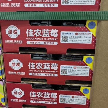 蓝莓基地一件代发