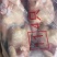 一级麻公鸡11公斤4只24年底的货