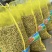 安平产地山药豆小白嘴山药豆货源充足供全国商超市场批发