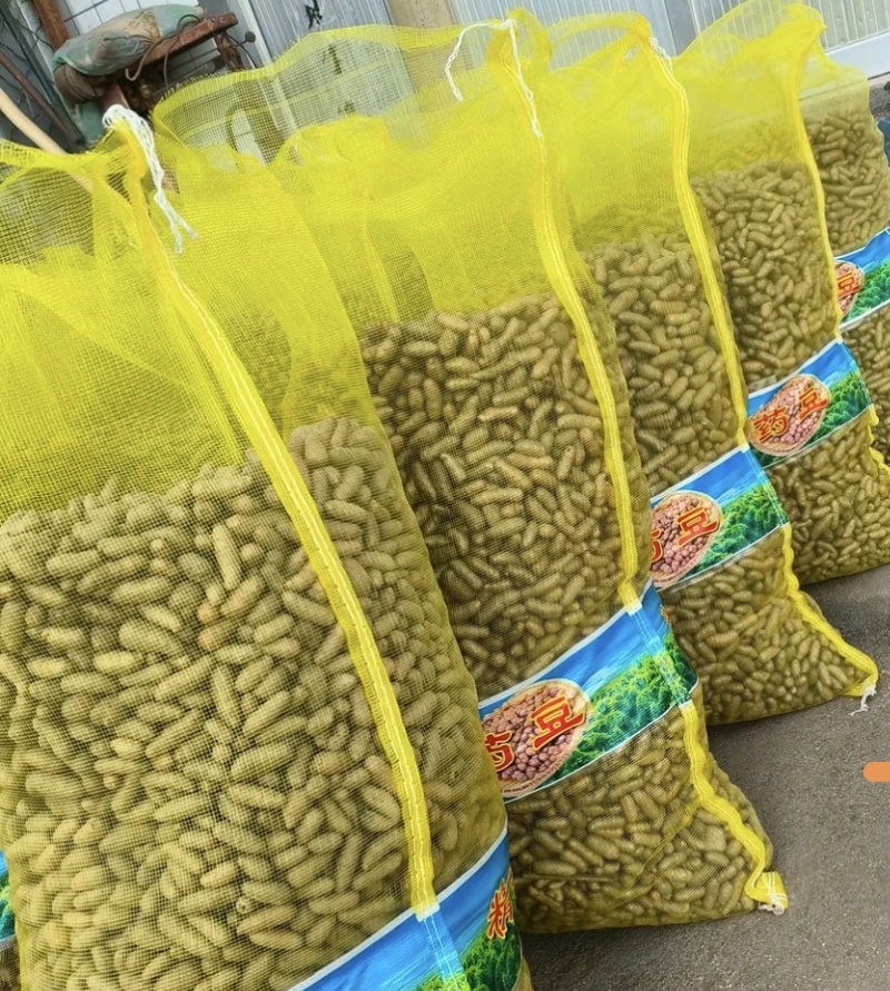安平产地山药豆小白嘴山药豆货源充足供全国商超市场批发
