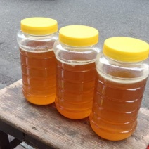 江西吉安百花蜜深山养殖一手货源现货批发欢迎来电洽谈