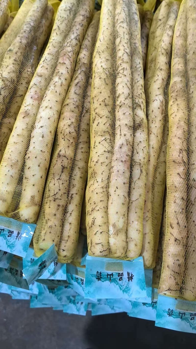 河北山药基地小白嘴白山药供全国批发市场商超酒店