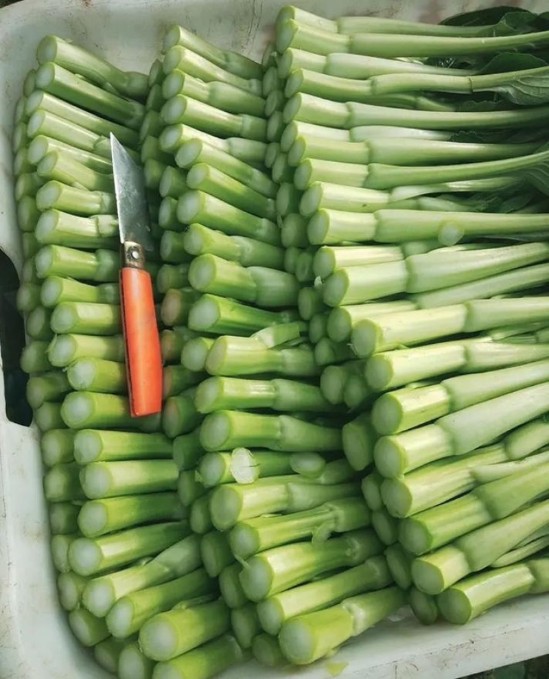 广东菜心/甜菜心【常年批发全国发货】量大从优/欢迎来电