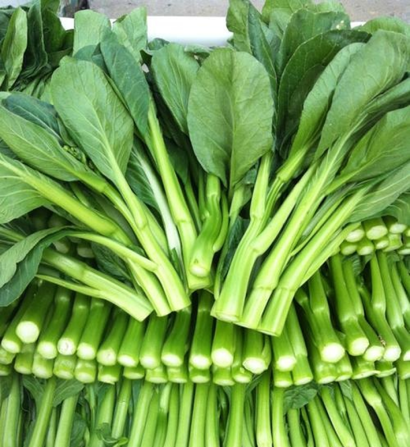 精选甜菜心/菜苔【广东菜心尖叶菜心】基地直发/常年供应