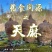 云南省昭通市宜良县优质高山天麻10月15日现货量大从优