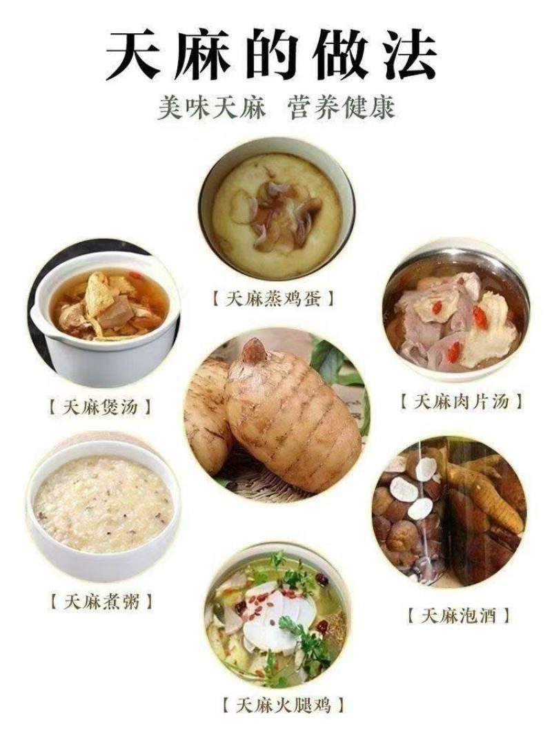云南省昭通市宜良县优质高山天麻10月15日现货量大从优
