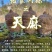 云南省昭通市宜良县优质高山天麻10月15日现货量大从优
