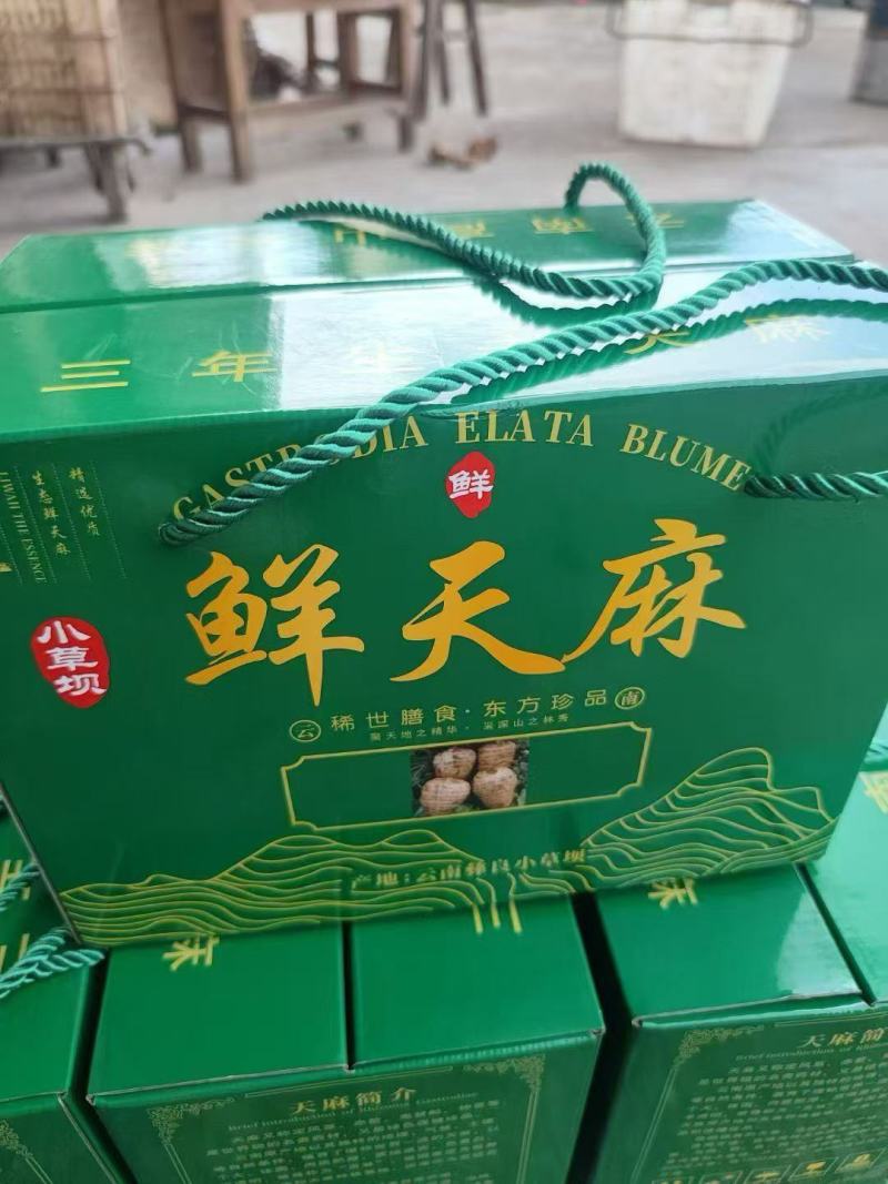云南省昭通市宜良县优质高山天麻10月15日现货量大从优