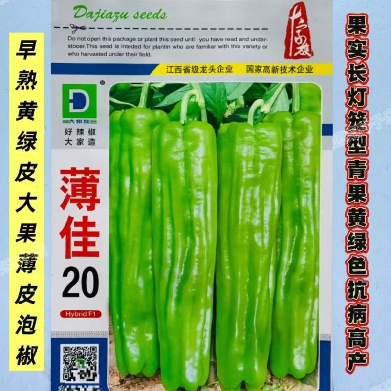薄佳20辣椒种子早熟黄绿皮大果薄皮泡椒种子抗病高产长灯笼