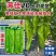 薄佳20辣椒种子早熟黄绿皮大果薄皮泡椒种子抗病高产长灯笼