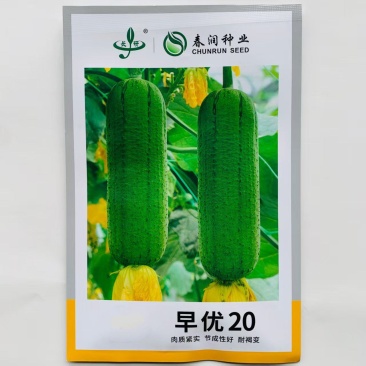 春润早优20丝瓜种籽短棒肉丝瓜种子味甜清脆高产春秋季丝瓜