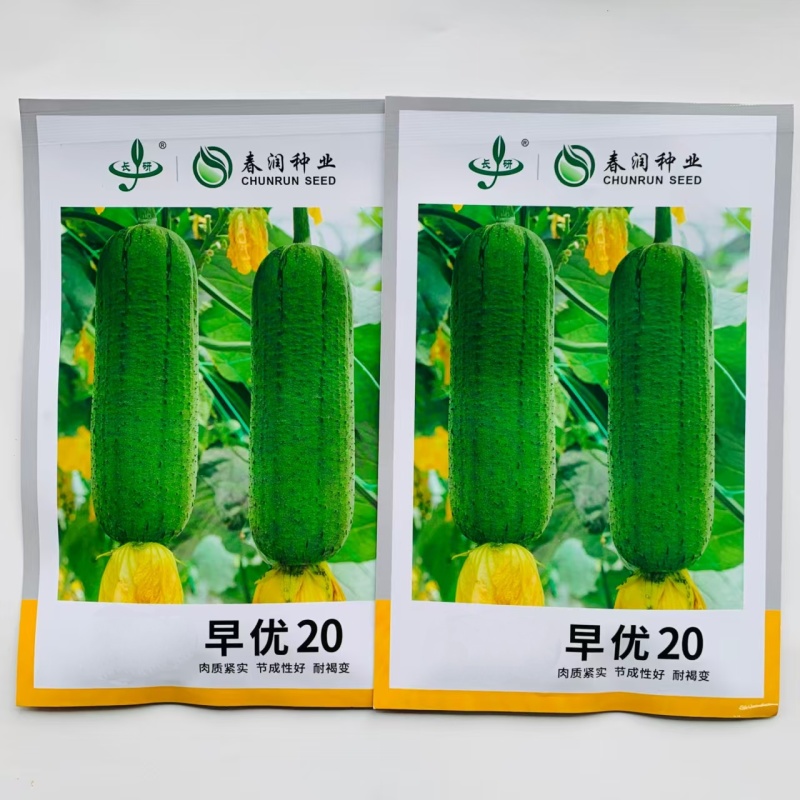 春润早优20丝瓜种籽短棒肉丝瓜种子味甜清脆高产春秋季丝瓜