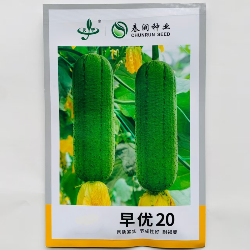 春润早优20丝瓜种籽短棒肉丝瓜种子味甜清脆高产春秋季丝瓜