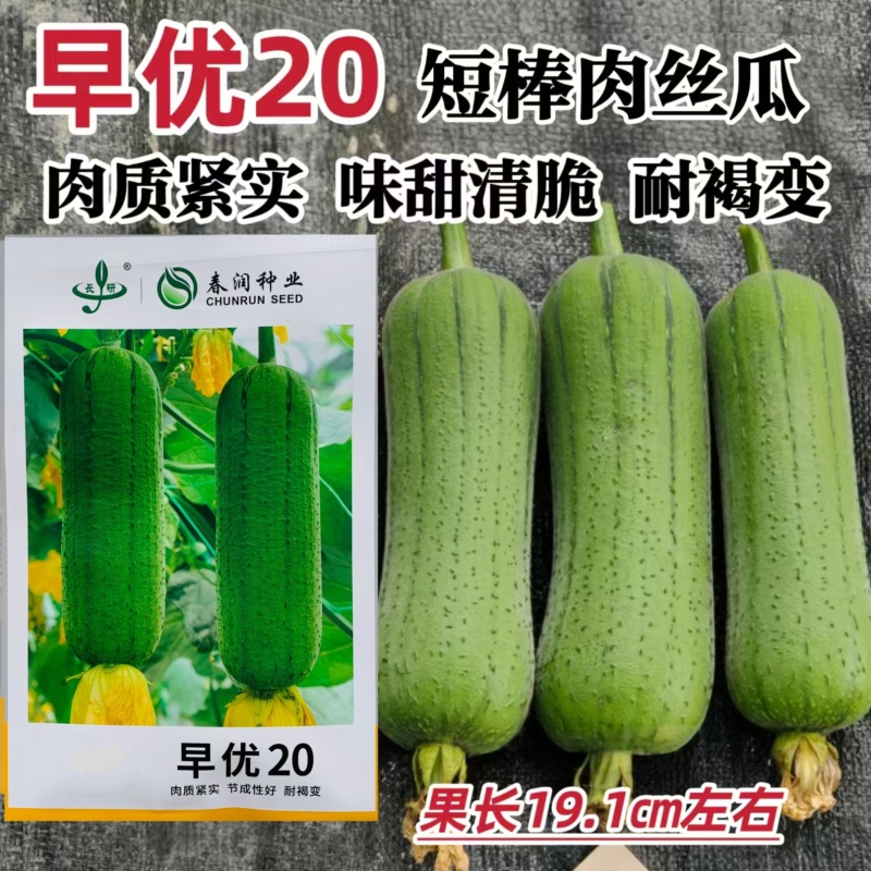 春润早优20丝瓜种籽短棒肉丝瓜种子味甜清脆高产春秋季丝瓜