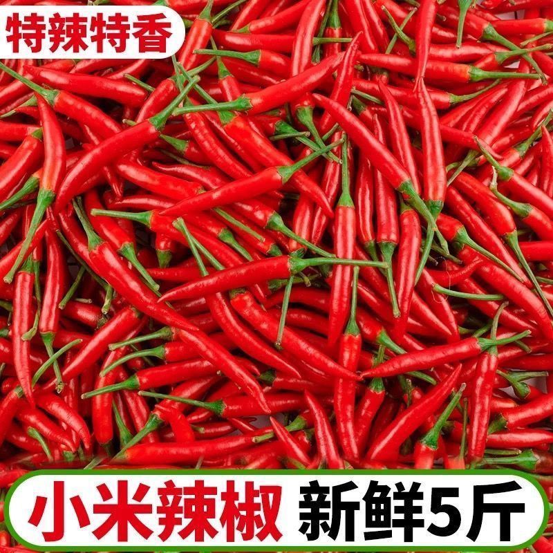 小米椒优质新鲜的小米红尖椒今日特价适合电商超市加工厂