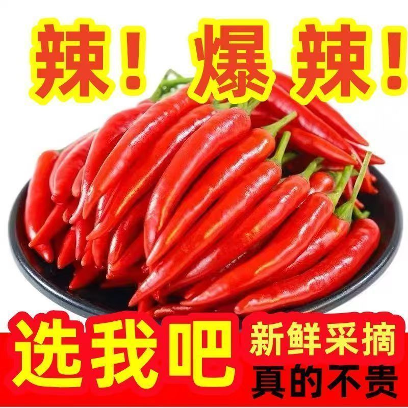 小米椒优质新鲜的小米红尖椒今日特价适合电商超市加工厂