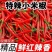 小米椒优质新鲜的小米红尖椒今日特价适合电商超市加工厂