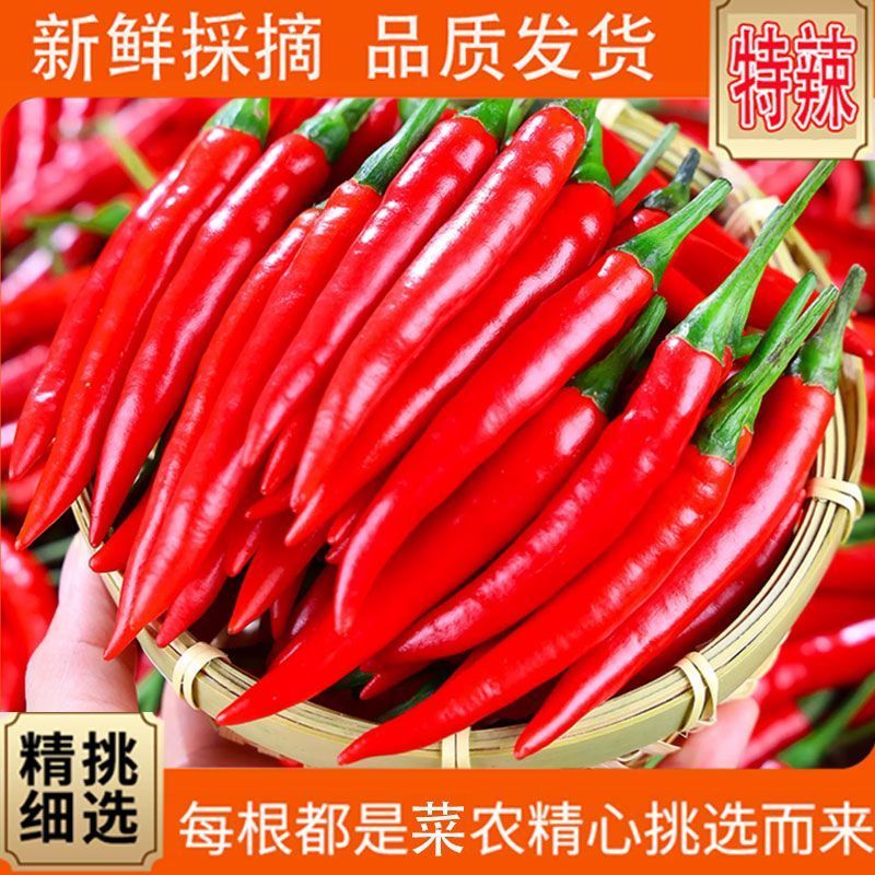 小米椒优质新鲜的小米红尖椒今日特价适合电商超市加工厂