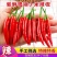 小米椒优质新鲜的小米红尖椒今日特价适合电商超市加工厂