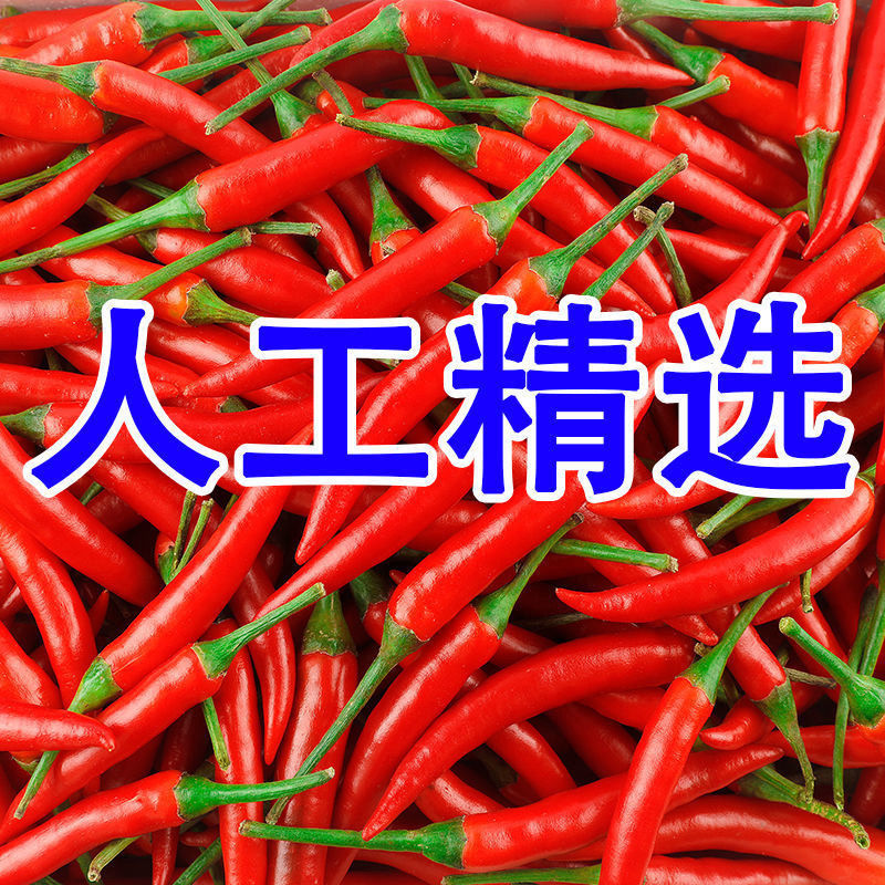 小米椒优质新鲜的小米红尖椒今日特价适合电商超市加工厂