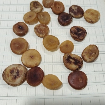 马钱子生去皮