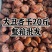 新疆特产,大丑杏干自然风干***的大杏干,味道甜