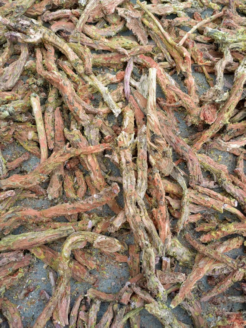 红景天大花去皮货