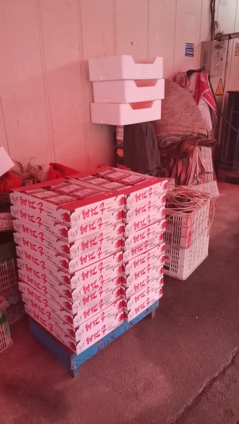 【有好货样品】商超礼品级甜红子山楂基地直供质量稳定合共赢