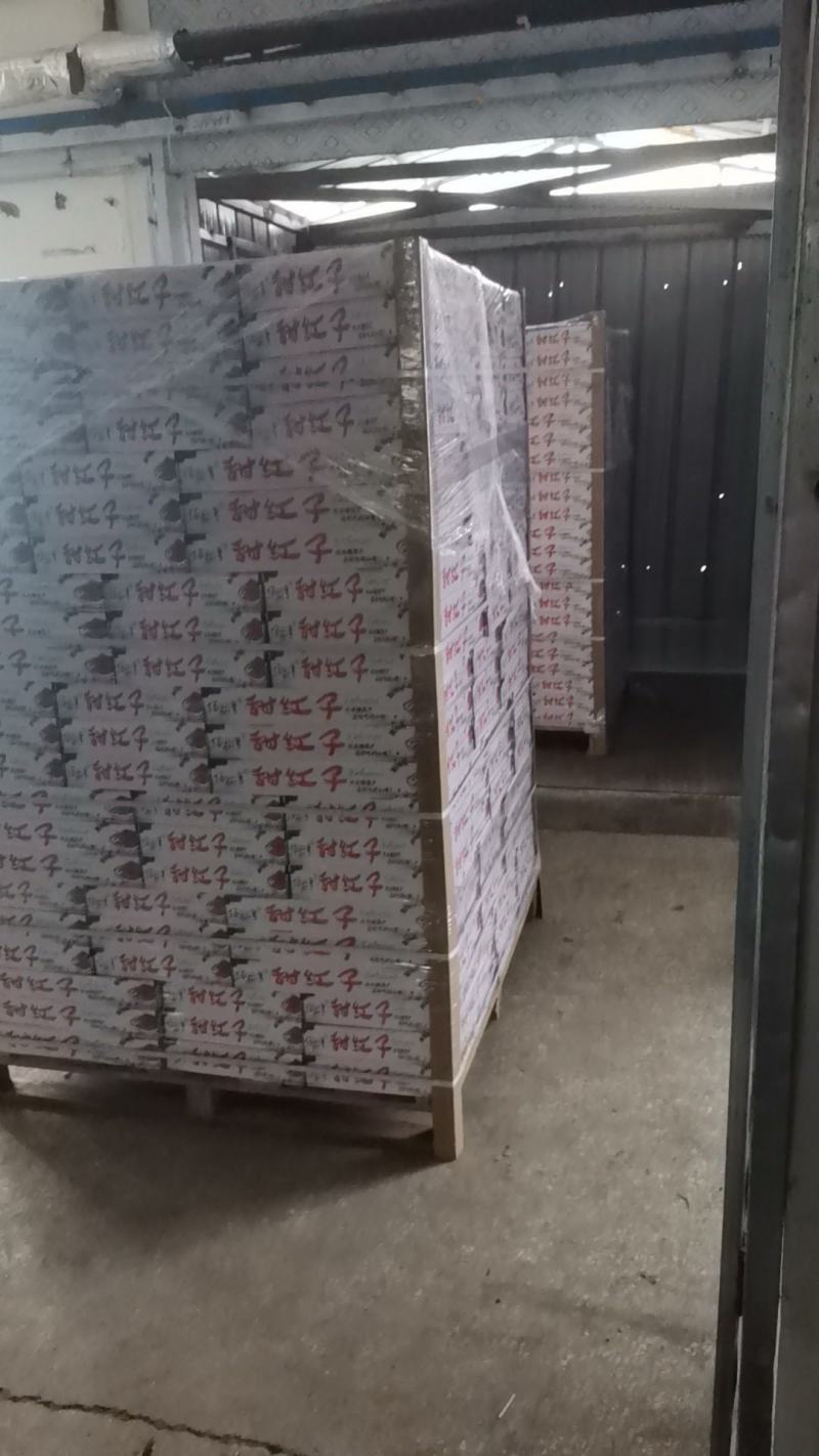 【有好货样品】商超礼品级甜红子山楂基地直供质量稳定合共赢
