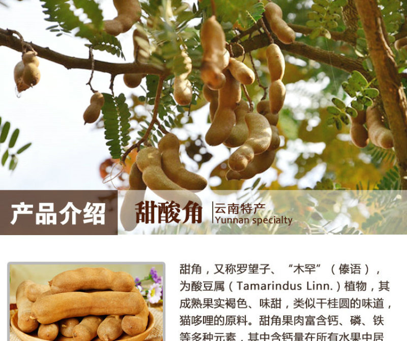 包邮）云南甜酸角(单果长1-5cm)孕妇水果甜罗望子干果