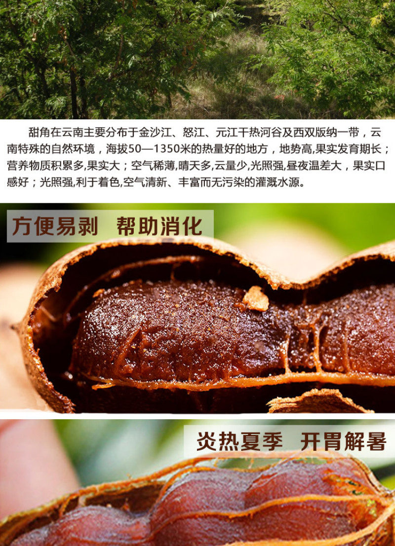 包邮）云南甜酸角(单果长1-5cm)孕妇水果甜罗望子干果