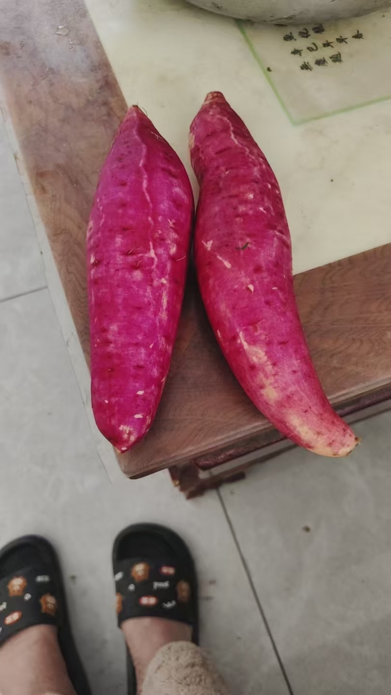 精品西瓜红大量供货