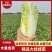河南精品娃娃菜,对接电商货、市场货、超市生鲜配送