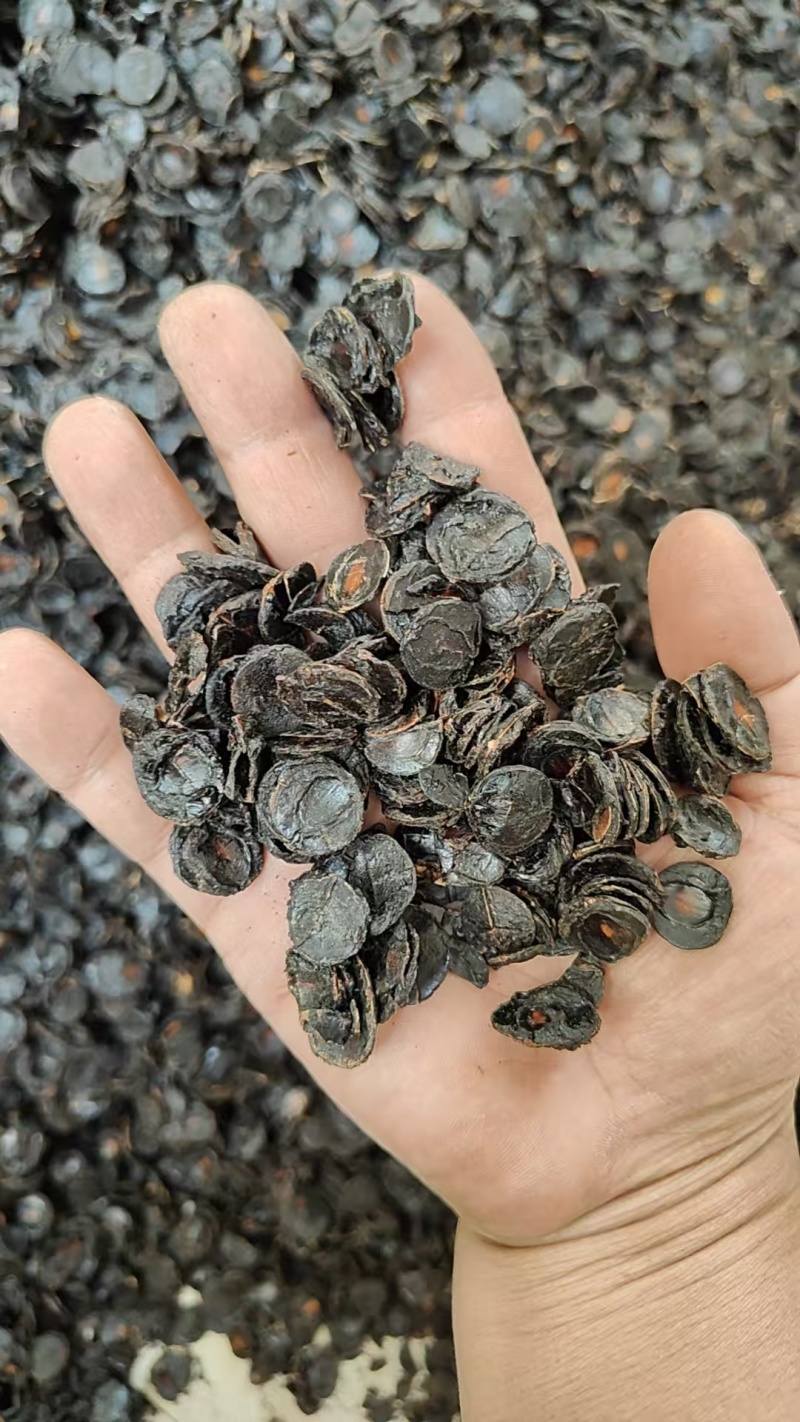 便秘果肉仁干货