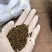 胡枝子种子萩胡枝条扫皮随军茶水土保持固土护坡饲用牧草多年