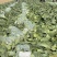（推荐）湖北天门甘蓝，锄禾5号支持各种包装电商超量大优先