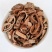 土槿皮中药材土荆皮荆树皮金钱松皮优质土荆皮新货