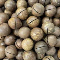 夏威夷果，电商货，批发代发，现货