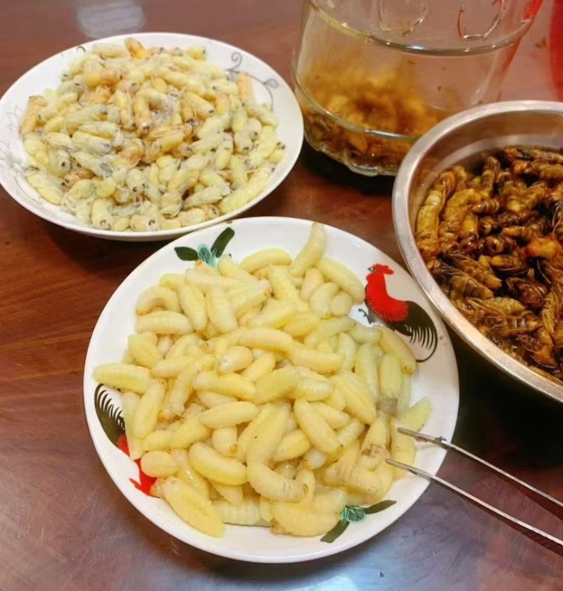 蜂蛹新鲜冻一级二级蜂蛹长期批发供应基地A货
