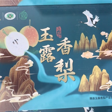 隰县玉露香梨品质保证货源充足量大从优欢迎来电