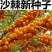 大果沙棘种子小果沙棘种子庭院阳台室外植物绿化苗木护坡灌木