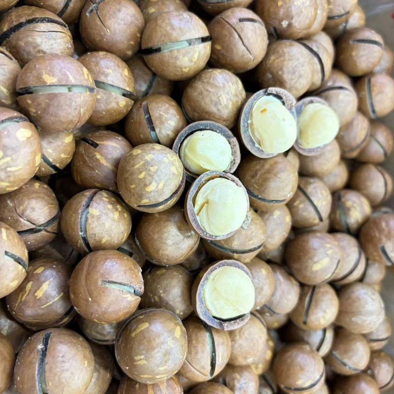 夏威夷果
