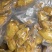 广东肇庆盐焗鸡，厂家直发，大量有货，欢迎各位老板咨询采购