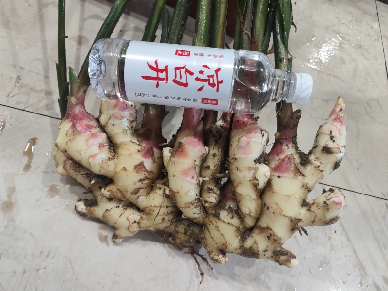 生姜