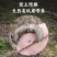 活体蚯蚓，养殖场直销价格低快递包邮可适合做开口饵料规格全