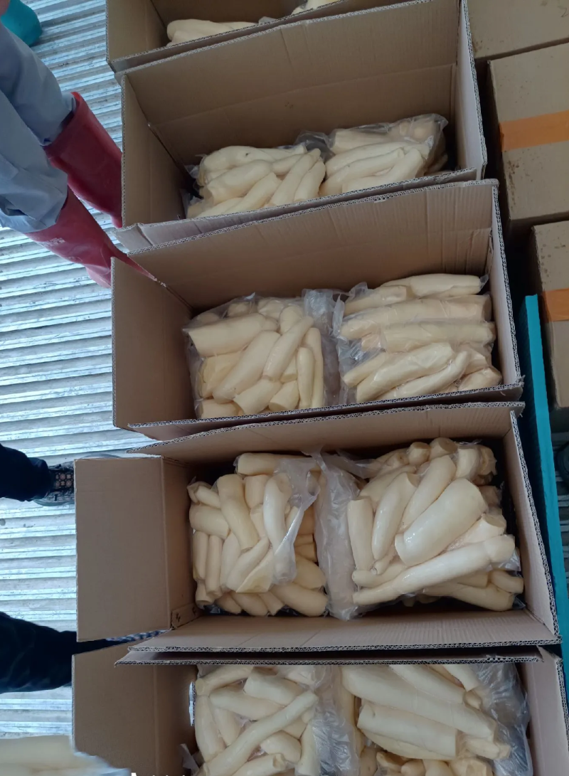 黄肉木薯广西木薯产地直发品质保障对接全国商超市场