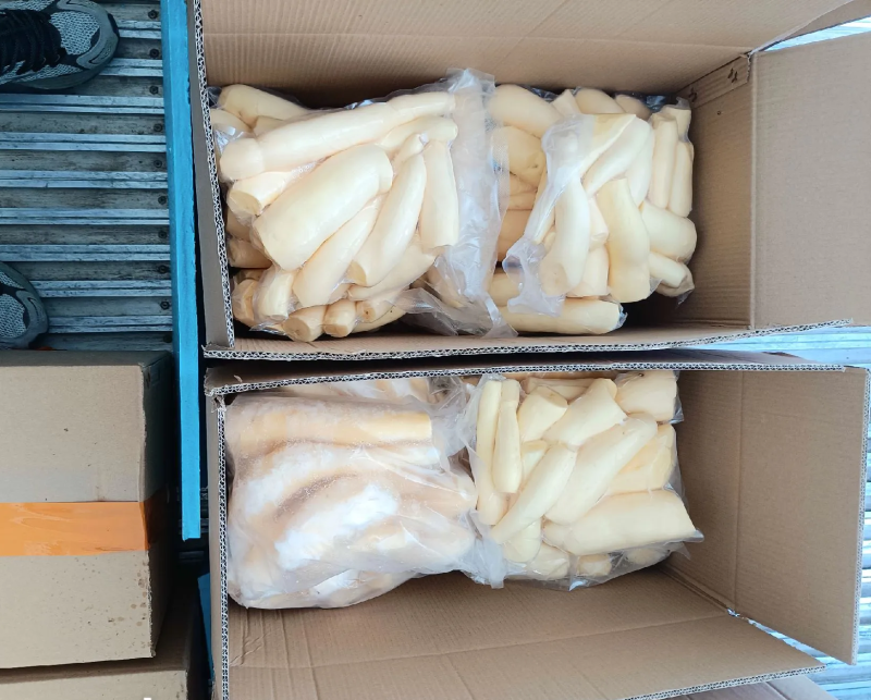黄肉木薯广西木薯产地直发品质保障对接全国商超市场