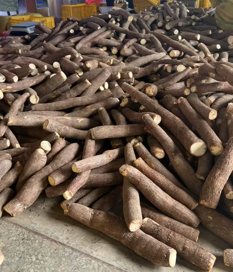 木薯黄肉木薯广西木薯货源充足可实地考察保质保量