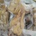 全熟去骨牛蹄真空牛蹄跑江湖摆地摊赶集展销会厂家去骨牛蹄