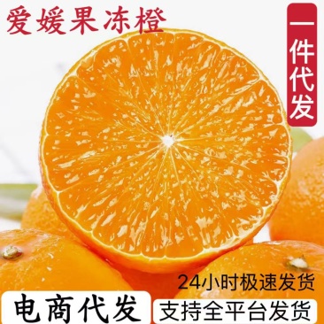 一件代发爱媛38号果冻橙